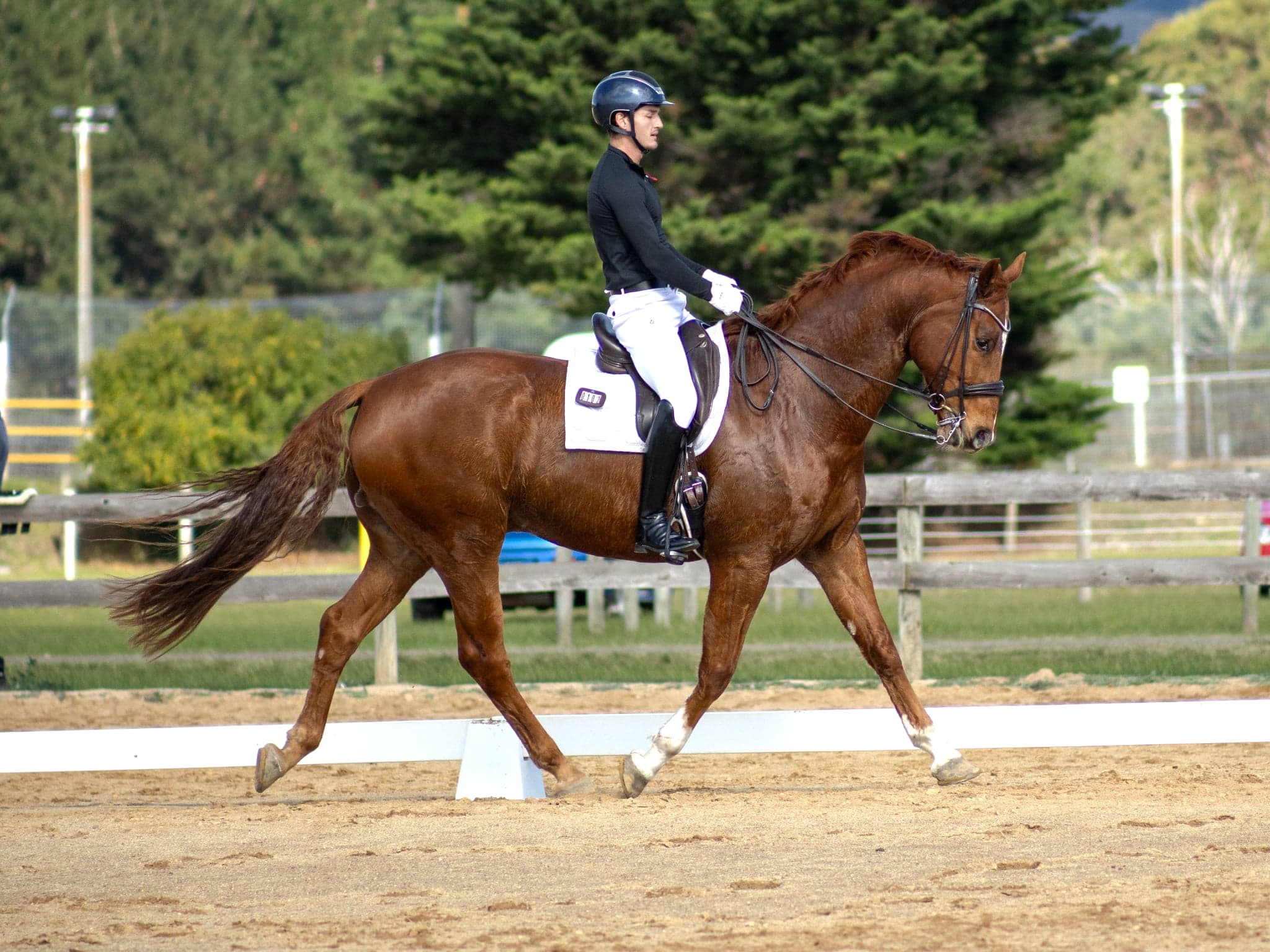 Chestnut horse and rider in a collected training frame